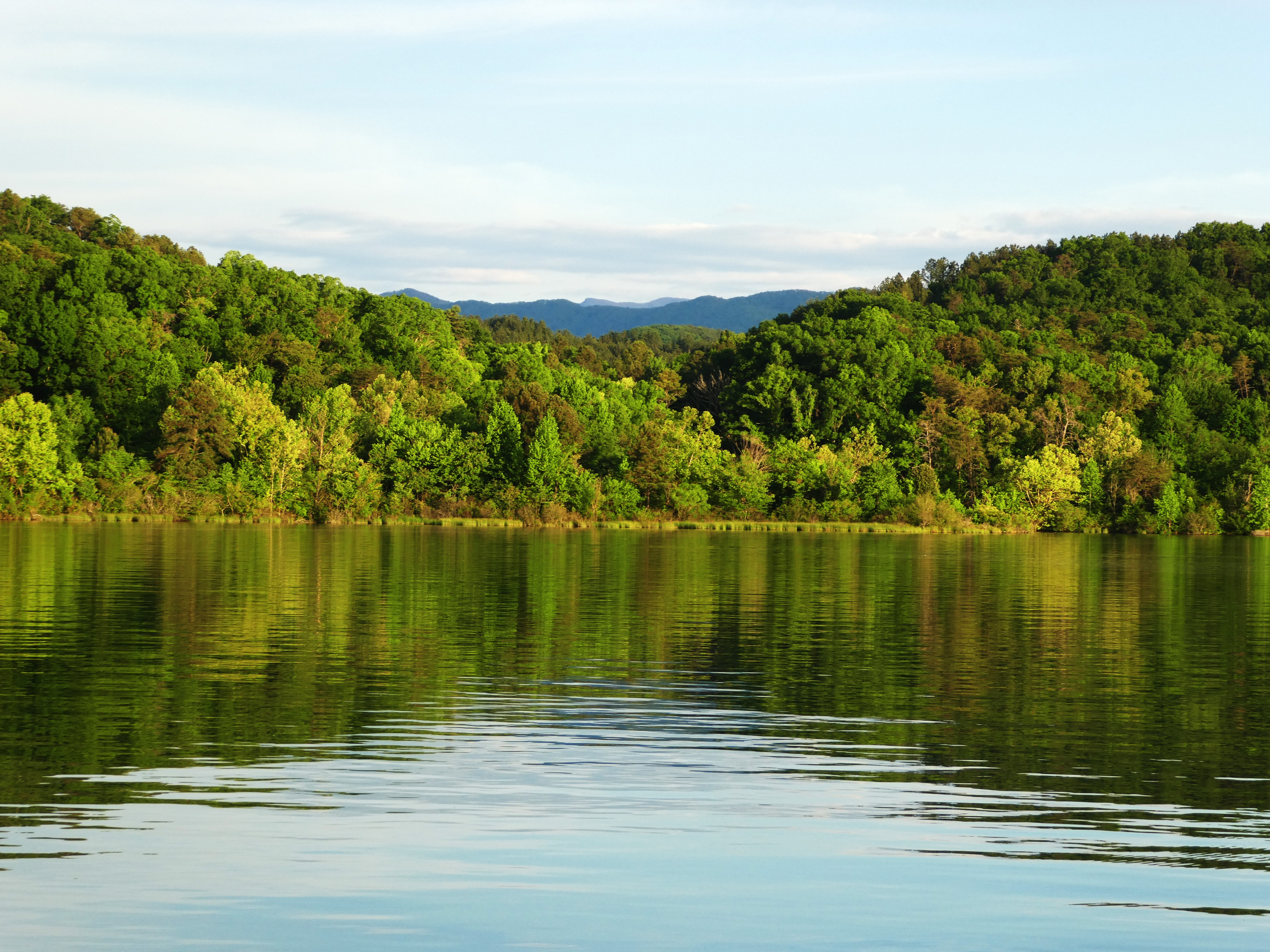 view of a lake